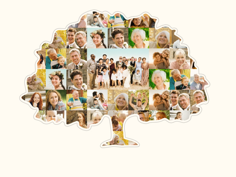 Baum Collage mit Familienfotos und einem großen Familienfoto in der Mitte
