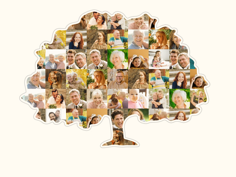 Familienbaum Collage mit vielen Bildern auf sandfarbenen Hintergrund