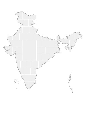 Collagen-Vorlage in Form einer Indien-Karte