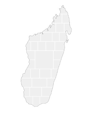Collagen-Vorlage in Form einer Madagaskar-Karte