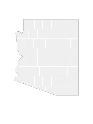 Collagen-Vorlage in Form einer Arizona-Karte