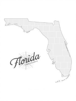 Collagen-Vorlage in Form einer Florida-Karte