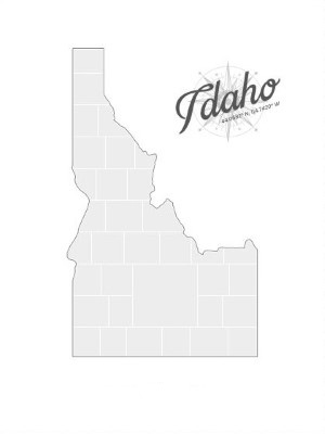 Collagen-Vorlage in Form einer Idaho-Karte