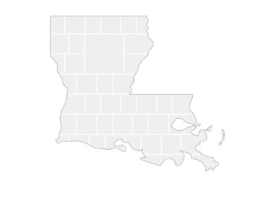 Collagen-Vorlage in Form einer Louisiana-Karte