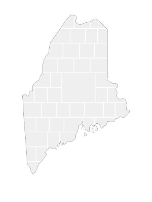 Collagen-Vorlage in Form einer Maine-Karte
