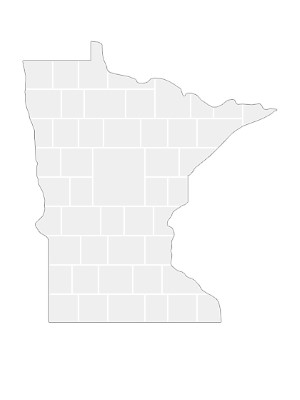 Collagen-Vorlage in Form einer Minnesota-Karte
