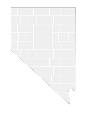 Collagen-Vorlage in Form einer Nevada-Karte