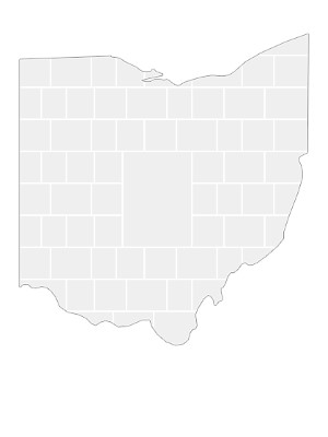 Collagen-Vorlage in Form einer Ohio-Karte