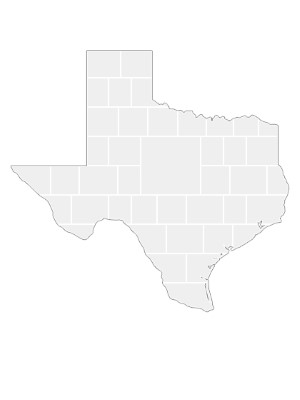 Collagen-Vorlage in Form einer Texas-Karte